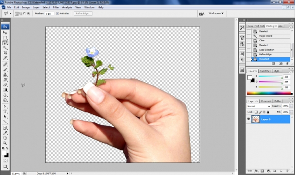 Creation of ...come here, my lady!: Step 1